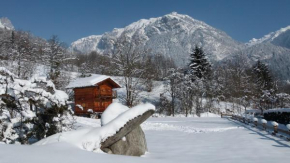  Chamonix petit chalet Cocooning  Серво